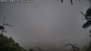 ./images/calvert/fitz-hugh-hecate/20250816/fitz-hugh-hecate20250816_064010M.jpg