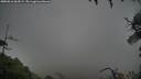 ./images/calvert/fitz-hugh-hecate/20250816/fitz-hugh-hecate20250816_064509M.jpg