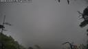 ./images/calvert/fitz-hugh-hecate/20250816/fitz-hugh-hecate20250816_065507M.jpg