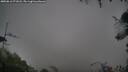 ./images/calvert/fitz-hugh-hecate/20250816/fitz-hugh-hecate20250816_071008M.jpg