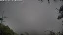 ./images/calvert/fitz-hugh-hecate/20250816/fitz-hugh-hecate20250816_071510M.jpg