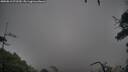 ./images/calvert/fitz-hugh-hecate/20250816/fitz-hugh-hecate20250816_072510M.jpg