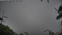 ./images/calvert/fitz-hugh-hecate/20250816/fitz-hugh-hecate20250816_074009M.jpg