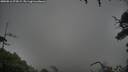 ./images/calvert/fitz-hugh-hecate/20250816/fitz-hugh-hecate20250816_074509M.jpg