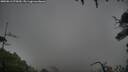 ./images/calvert/fitz-hugh-hecate/20250816/fitz-hugh-hecate20250816_075010M.jpg