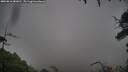 ./images/calvert/fitz-hugh-hecate/20250816/fitz-hugh-hecate20250816_080011M.jpg