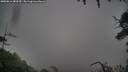 ./images/calvert/fitz-hugh-hecate/20250816/fitz-hugh-hecate20250816_080510M.jpg