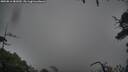 ./images/calvert/fitz-hugh-hecate/20250816/fitz-hugh-hecate20250816_081010M.jpg