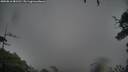 ./images/calvert/fitz-hugh-hecate/20250816/fitz-hugh-hecate20250816_081511M.jpg