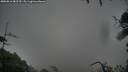 ./images/calvert/fitz-hugh-hecate/20250816/fitz-hugh-hecate20250816_082510M.jpg