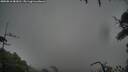 ./images/calvert/fitz-hugh-hecate/20250816/fitz-hugh-hecate20250816_083011M.jpg
