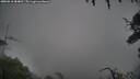./images/calvert/fitz-hugh-hecate/20250816/fitz-hugh-hecate20250816_084011M.jpg