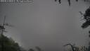 ./images/calvert/fitz-hugh-hecate/20250816/fitz-hugh-hecate20250816_084510M.jpg
