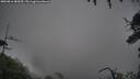 ./images/calvert/fitz-hugh-hecate/20250816/fitz-hugh-hecate20250816_085010M.jpg