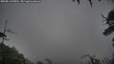 ./images/calvert/fitz-hugh-hecate/20250816/fitz-hugh-hecate20250816_090011M.jpg