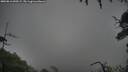 ./images/calvert/fitz-hugh-hecate/20250816/fitz-hugh-hecate20250816_090509M.jpg