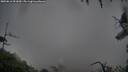 ./images/calvert/fitz-hugh-hecate/20250816/fitz-hugh-hecate20250816_091010M.jpg
