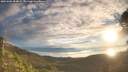 ./images/calvert/fitz-hugh-hecate/20251005/fitz-hugh-hecate20251005_084002M.jpg