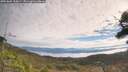 ./images/calvert/fitz-hugh-hecate/20251005/fitz-hugh-hecate20251005_110001M.jpg