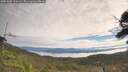 ./images/calvert/fitz-hugh-hecate/20251005/fitz-hugh-hecate20251005_110501M.jpg