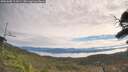./images/calvert/fitz-hugh-hecate/20251005/fitz-hugh-hecate20251005_111001M.jpg