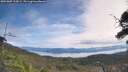 ./images/calvert/fitz-hugh-hecate/20251005/fitz-hugh-hecate20251005_115001M.jpg