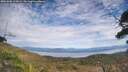 ./images/calvert/fitz-hugh-hecate/20251005/fitz-hugh-hecate20251005_133001M.jpg