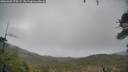 ./images/calvert/fitz-hugh-hecate/20260307/fitz-hugh-hecate20260307_075501M.jpg