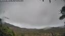 ./images/calvert/fitz-hugh-hecate/20260307/fitz-hugh-hecate20260307_080002M.jpg
