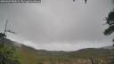./images/calvert/fitz-hugh-hecate/20260307/fitz-hugh-hecate20260307_082001M.jpg