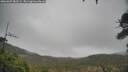 ./images/calvert/fitz-hugh-hecate/20260307/fitz-hugh-hecate20260307_083502M.jpg