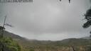 ./images/calvert/fitz-hugh-hecate/20260307/fitz-hugh-hecate20260307_090001M.jpg