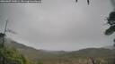 ./images/calvert/fitz-hugh-hecate/20260307/fitz-hugh-hecate20260307_100001M.jpg