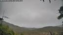 ./images/calvert/fitz-hugh-hecate/20260307/fitz-hugh-hecate20260307_100501M.jpg