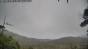 ./images/calvert/fitz-hugh-hecate/20260307/fitz-hugh-hecate20260307_104001M.jpg
