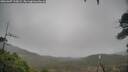 ./images/calvert/fitz-hugh-hecate/20260307/fitz-hugh-hecate20260307_110001M.jpg