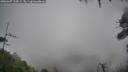 ./images/calvert/fitz-hugh-hecate/20260307/fitz-hugh-hecate20260307_134501M.jpg
