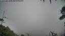 ./images/calvert/fitz-hugh-hecate/20260307/fitz-hugh-hecate20260307_140002M.jpg