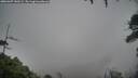./images/calvert/fitz-hugh-hecate/20260307/fitz-hugh-hecate20260307_140501M.jpg