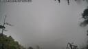 ./images/calvert/fitz-hugh-hecate/20260307/fitz-hugh-hecate20260307_142501M.jpg