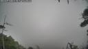 ./images/calvert/fitz-hugh-hecate/20260307/fitz-hugh-hecate20260307_160001M.jpg