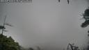 ./images/calvert/fitz-hugh-hecate/20260307/fitz-hugh-hecate20260307_161001M.jpg