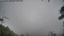 ./images/calvert/fitz-hugh-hecate/20260307/fitz-hugh-hecate20260307_164001M.jpg