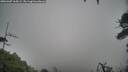 ./images/calvert/fitz-hugh-hecate/20260307/fitz-hugh-hecate20260307_164501M.jpg