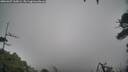 ./images/calvert/fitz-hugh-hecate/20260307/fitz-hugh-hecate20260307_165001M.jpg