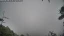 ./images/calvert/fitz-hugh-hecate/20260307/fitz-hugh-hecate20260307_165501M.jpg