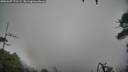 ./images/calvert/fitz-hugh-hecate/20260307/fitz-hugh-hecate20260307_171501M.jpg