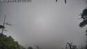 ./images/calvert/fitz-hugh-hecate/20260307/fitz-hugh-hecate20260307_172501M.jpg