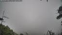 ./images/calvert/fitz-hugh-hecate/20260307/fitz-hugh-hecate20260307_173501M.jpg