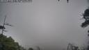 ./images/calvert/fitz-hugh-hecate/20260307/fitz-hugh-hecate20260307_174001M.jpg